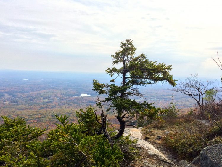 Breathe… Steps to the Top of Mount Monadnock