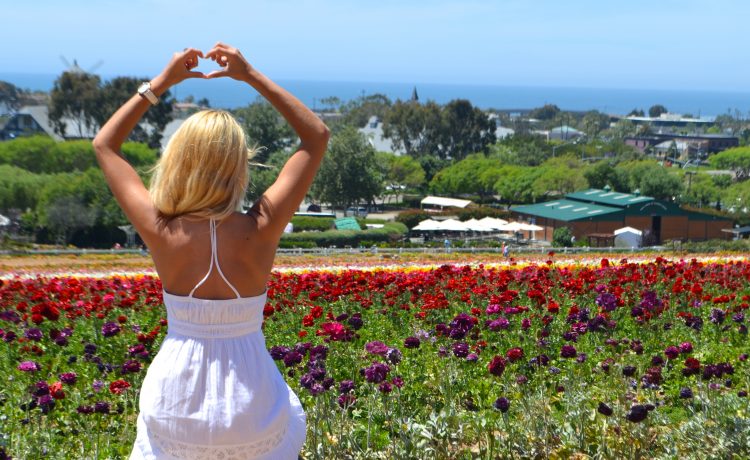 Blissing among gorgeous flowers in Carlsbad